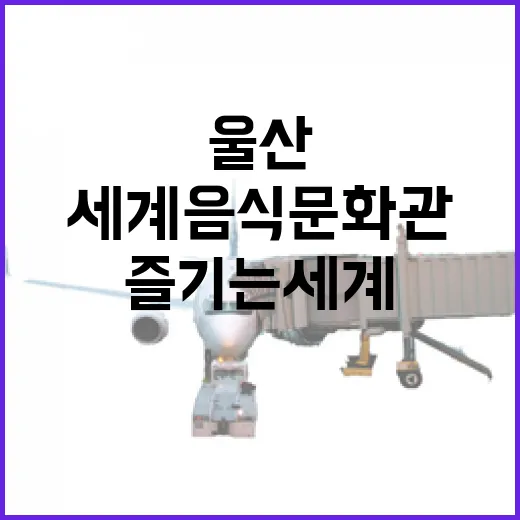 울산에서 즐기는 세계음식문화관 여행