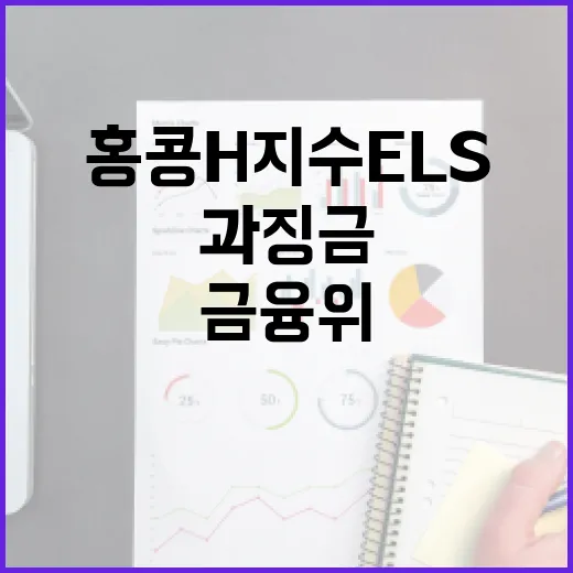 금융위, 홍콩 H지수 ELS 과징금 신중 검토 중