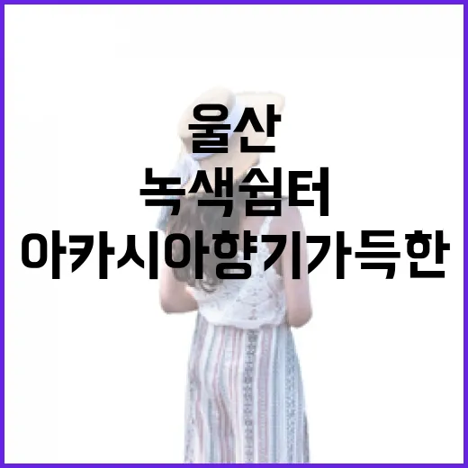 울산 선바위공원, 아카시아 향기 가득한 녹색 쉼터