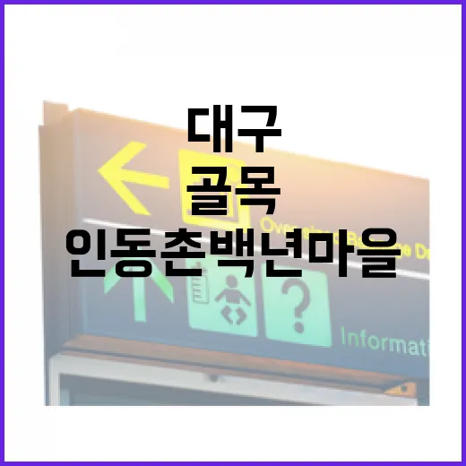 대구 인동촌백년마을 감성 골목 산책