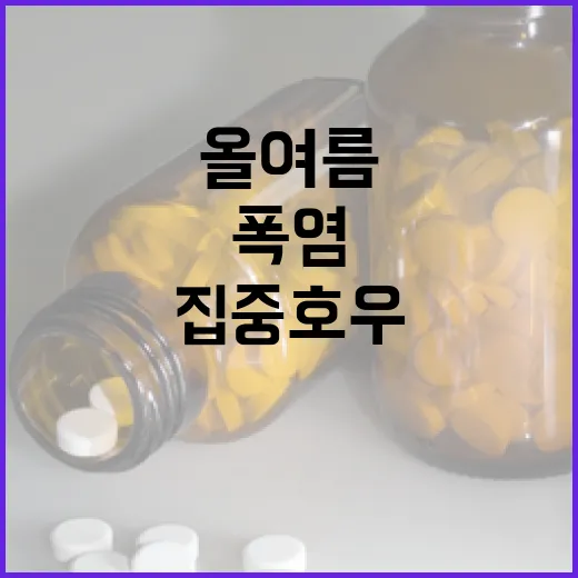 올여름 폭염과 집중호우 대비 강화