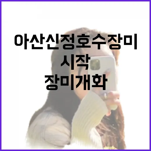 아산 신정호수 장미 개화 시작, 봄 향기 가득한 산책길