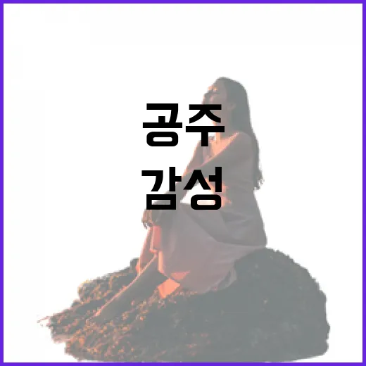 공주 제민천, 감성 가득한 밤의 북 피크닉