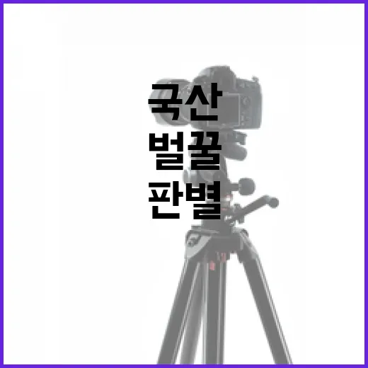 국산 벌꿀 DNA로 판별 기술 확보