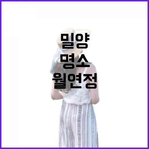 밀양 월연정과 월연터널, 자연과 역사가 어우러진 명소