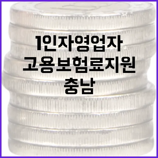충남 1인 자영업자 고용보험료 지원 총정리