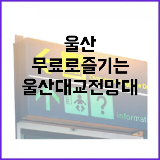 울산대교 전망대, 무료로 즐기는 바다와 도시 풍경