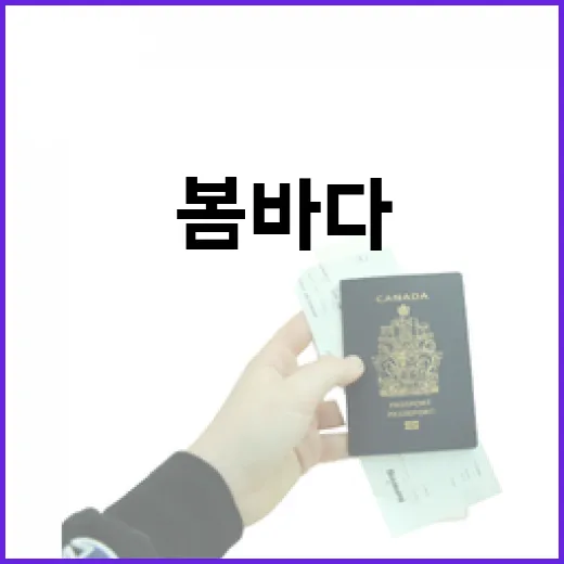 서천 광어도미축제 봄바다의 맛과 즐거움