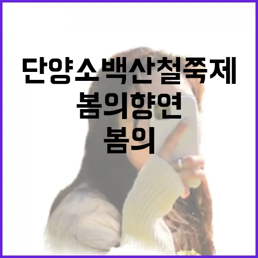 단양 소백산철쭉제, 봄의 향연
