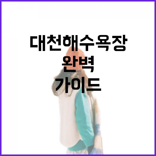 서해의 보석, 대천해수욕장 완벽 가이드