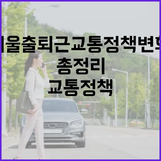 서울 출퇴근 교통정책 변화 총정리