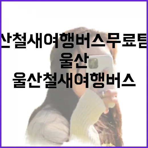 울산 철새여행버스 무료 탐조 체험기