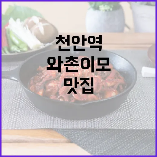 천안역 가성비 맛집 와촌이모 혼밥기