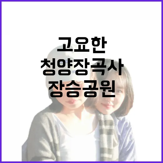 청양 장곡사와 장승공원, 고요한 힐링 명소