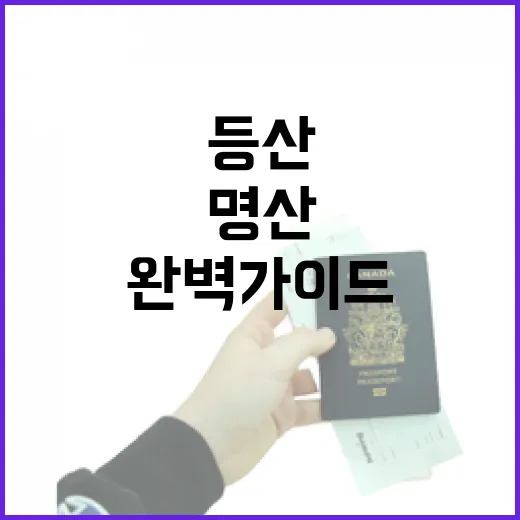 강원도 명산 등산 명소 완벽 가이드