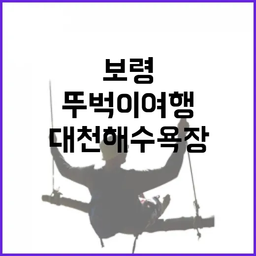 보령 대천해수욕장 뚜벅이 여행 완벽 가이드