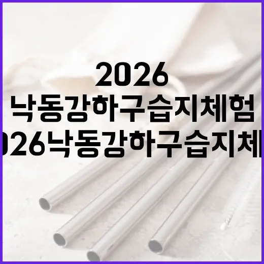 2026 낙동강하구 습지체험, 자연과 하나 되는 기회