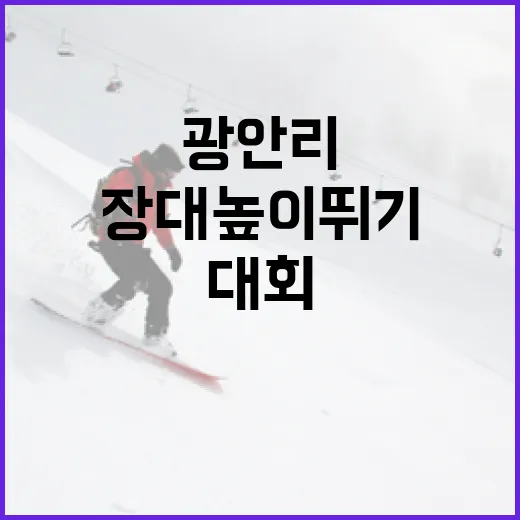 광안리서 펼쳐지는 세계 장대높이뛰기 대회