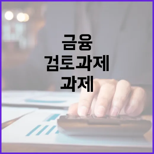 금융위, 기본금융 검토 과제는 미확정