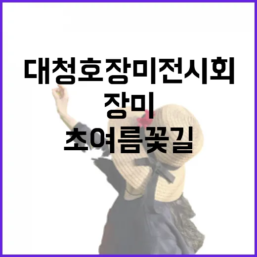 대청호 장미전시회, 초여름 꽃길 산책