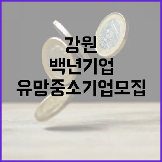 강원 백년기업·유망중소기업 모집 시작
