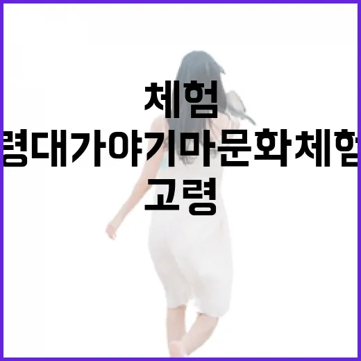 고령 대가야 기마문화체험장, 말의 해 특별 체험