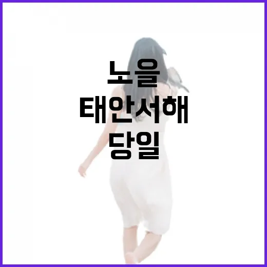 태안 서해 노을과 꽃길 완벽 당일 코스