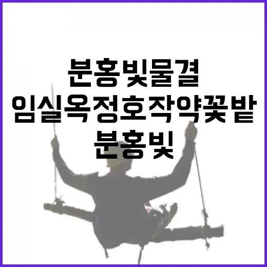 임실 옥정호 작약꽃밭, 분홍빛 물결의 초여름 풍경