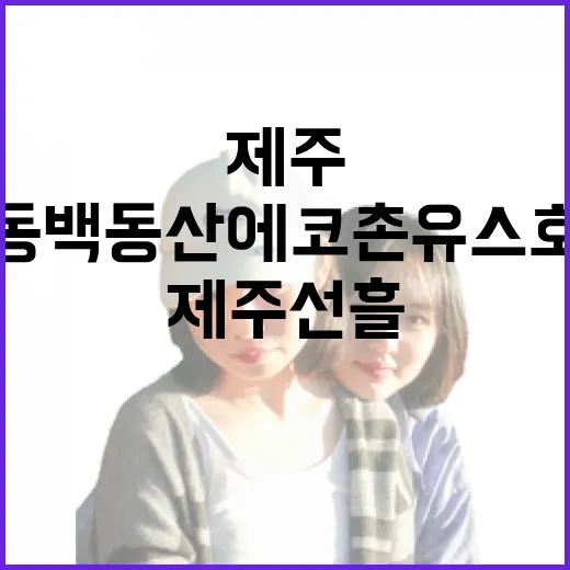 제주 선흘 동백동산 에코촌 유스호스텔 탐방