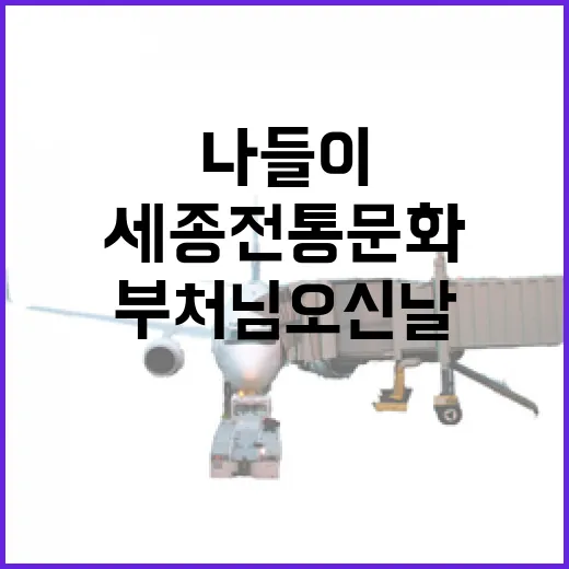 세종 전통문화와 부처님 오신 날 힐링 나들이