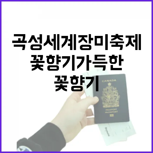 꽃향기 가득한 곡성세계장미축제 현장