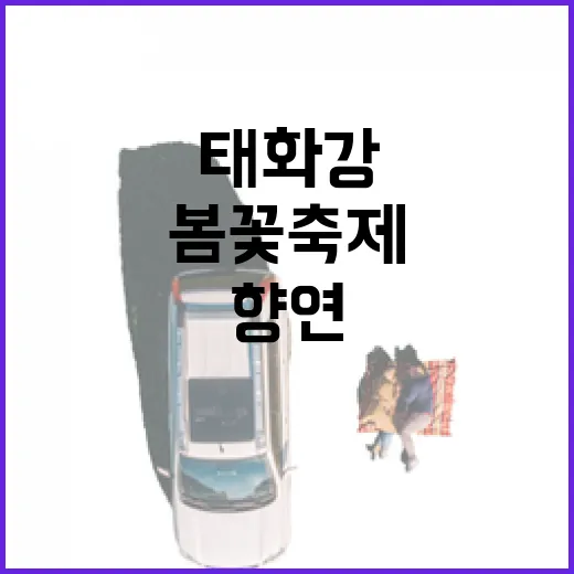 울산 태화강 봄꽃축제 6000만 송이 향연