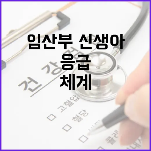 임산부·신생아 응급전원 24시간 체계 구축