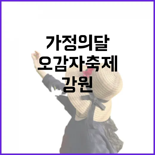 가정의 달 맞춤 강원 오감자 축제 여행