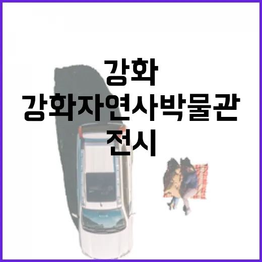 강화자연사박물관 수리수리독수리 전시