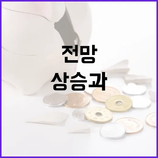 큰 일교차 속 채소가격 일시 상승과 향후 전망