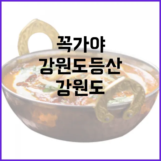 강원도 등산 후 꼭 가야 할 맛집 5선
