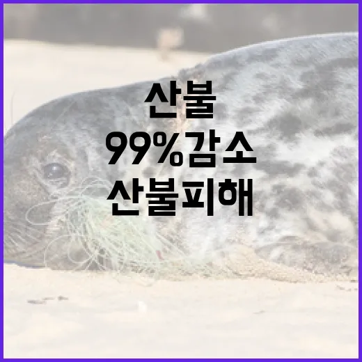산불 피해 99% 감소, 산림정책 1년 성과