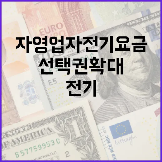 자영업자 전기요금 부담 완화, 선택권 확대