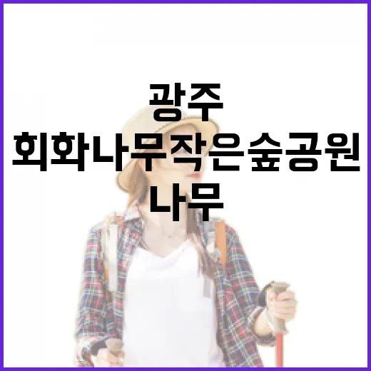 중수청 개청 준비 문서 허위 확인