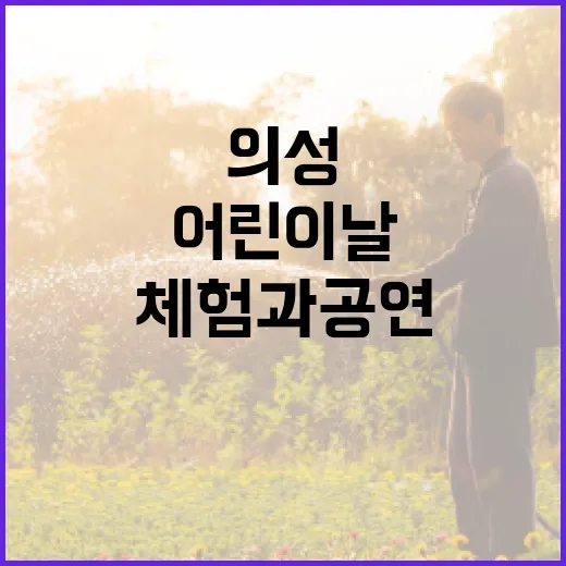 의성 어린이날 축제, 체험과 공연의 향연