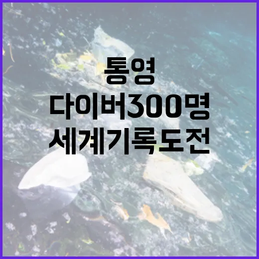 통영 앞바다서 다이버 300명 세계 기록 도전