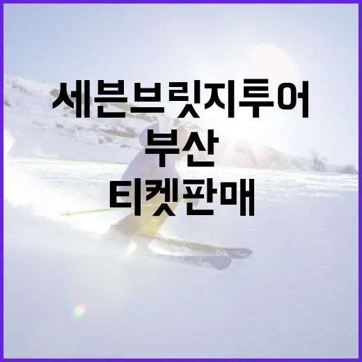 부산 세븐브릿지 투어 티켓 판매 개시