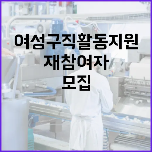 강원도 여성구직활동 지원 재참여자 모집