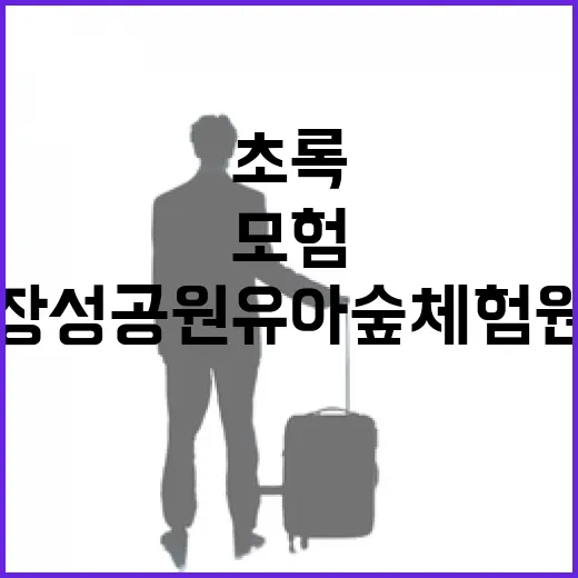 장성공원유아숲체험원, 자연과 역사를 품은 초록 모험터