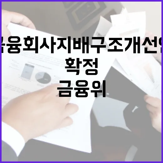 금융위, 금융회사 지배구조 개선안 확정 없다고 밝혔다