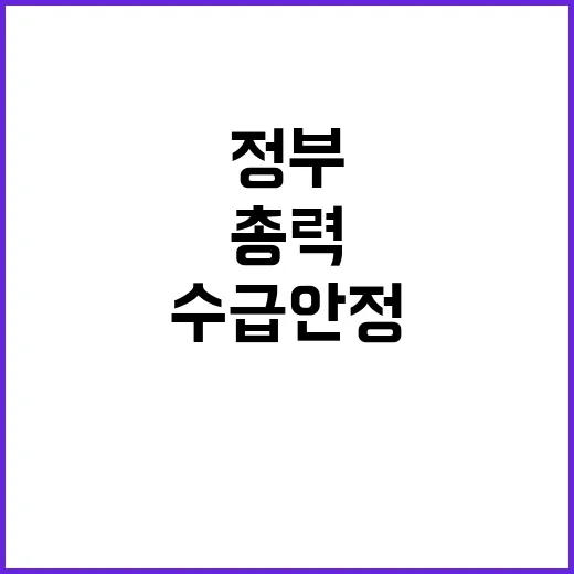 논콩 재고 급증, …