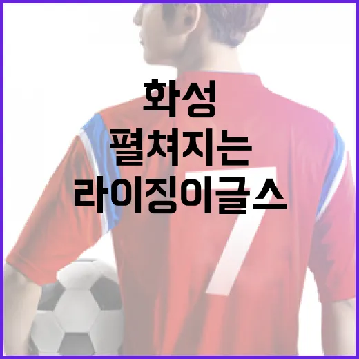 화성서 펼쳐지는 라이징이글스 도전기