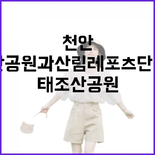 천안 태조산공원과 산림레포츠단지 완벽 가이드