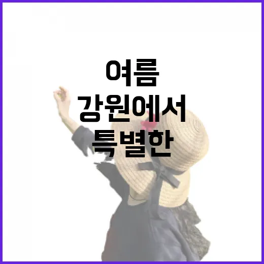 강원에서 즐기는 특별한 여름 피서